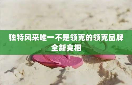 独特风采唯一不是领克的领克品牌全新亮相