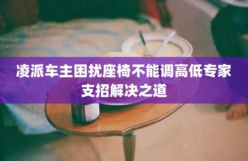 凌派车主困扰座椅不能调高低专家支招解决之道
