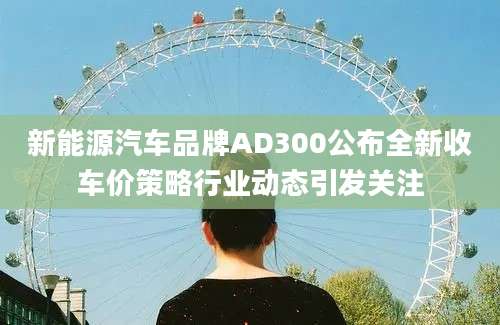 新能源汽车品牌AD300公布全新收车价策略行业动态引发关注