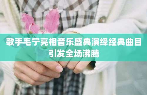 歌手毛宁亮相音乐盛典演绎经典曲目引发全场沸腾
