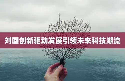 刘回创新驱动发展引领未来科技潮流