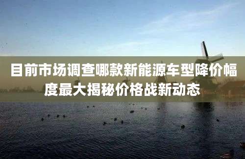 目前市场调查哪款新能源车型降价幅度最大揭秘价格战新动态