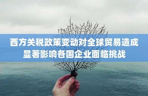 西方关税政策变动对全球贸易造成显著影响各国企业面临挑战