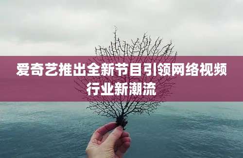 爱奇艺推出全新节目引领网络视频行业新潮流