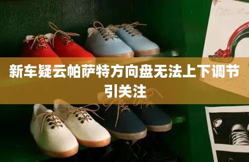 新车疑云帕萨特方向盘无法上下调节引关注