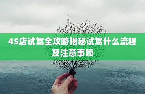 4S店试驾全攻略揭秘试驾什么流程及注意事项