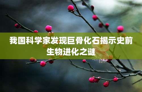 我国科学家发现巨骨化石揭示史前生物进化之谜