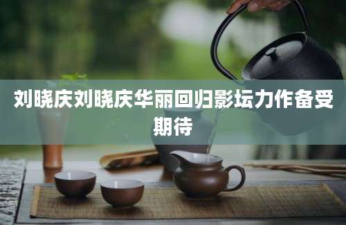 刘晓庆刘晓庆华丽回归影坛力作备受期待