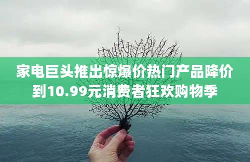 家电巨头推出惊爆价热门产品降价到10.99元消费者狂欢购物季