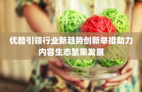 优酷引领行业新趋势创新举措助力内容生态繁荣发展