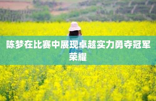 陈梦在比赛中展现卓越实力勇夺冠军荣耀