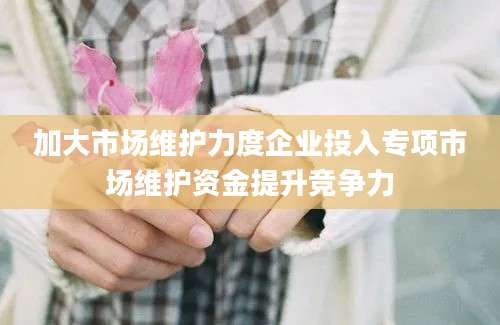 加大市场维护力度企业投入专项市场维护资金提升竞争力