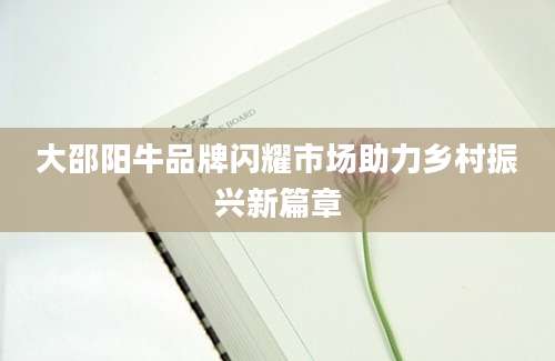 大邵阳牛品牌闪耀市场助力乡村振兴新篇章