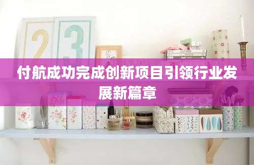 付航成功完成创新项目引领行业发展新篇章