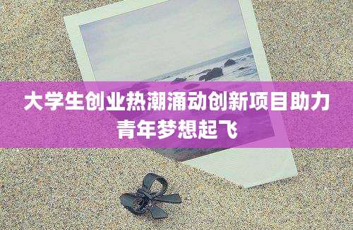 大学生创业热潮涌动创新项目助力青年梦想起飞