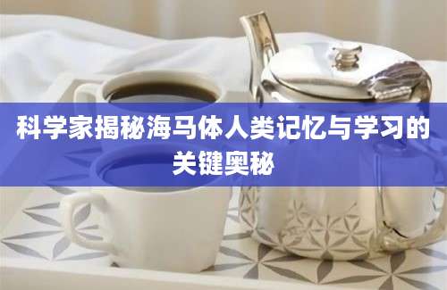 科学家揭秘海马体人类记忆与学习的关键奥秘