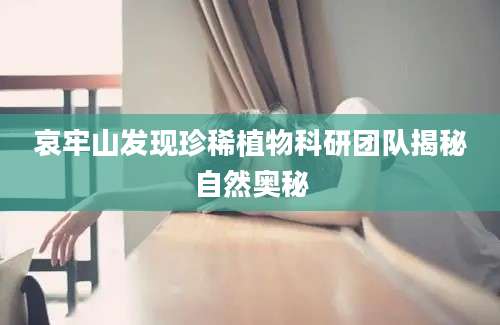 哀牢山发现珍稀植物科研团队揭秘自然奥秘