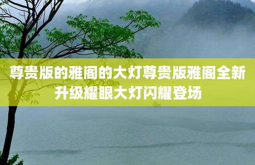尊贵版的雅阁的大灯尊贵版雅阁全新升级耀眼大灯闪耀登场