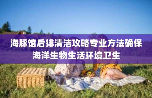 海豚馆后排清洁攻略专业方法确保海洋生物生活环境卫生