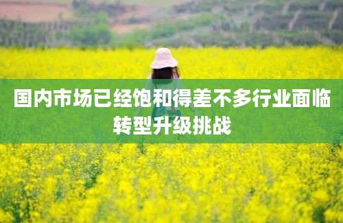 国内市场已经饱和得差不多行业面临转型升级挑战