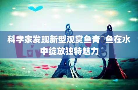 科学家发现新型观赏鱼青鳉鱼在水中绽放独特魅力