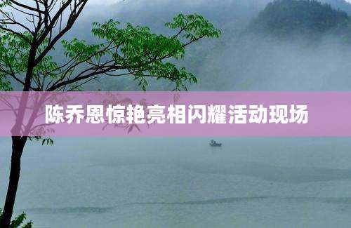 陈乔恩惊艳亮相闪耀活动现场
