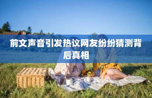 前文声音引发热议网友纷纷猜测背后真相