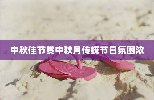 中秋佳节赏中秋月传统节日氛围浓