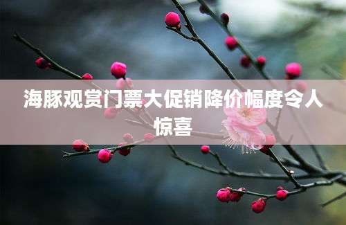 海豚观赏门票大促销降价幅度令人惊喜