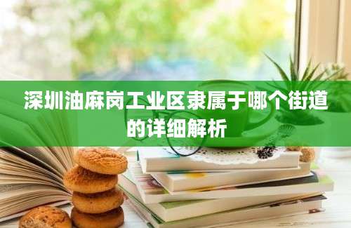深圳油麻岗工业区隶属于哪个街道的详细解析