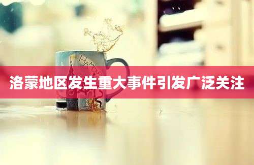 洛蒙地区发生重大事件引发广泛关注