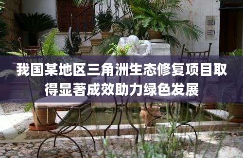 我国某地区三角洲生态修复项目取得显著成效助力绿色发展