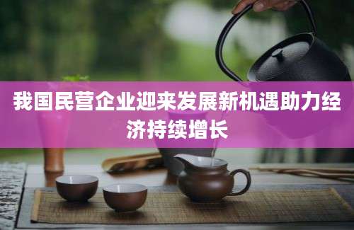 我国民营企业迎来发展新机遇助力经济持续增长