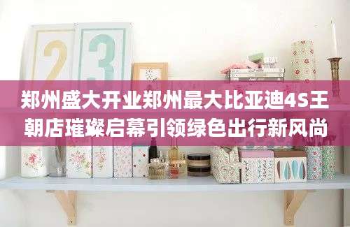 郑州盛大开业郑州最大比亚迪4S王朝店璀璨启幕引领绿色出行新风尚