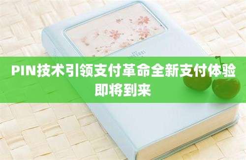 PIN技术引领支付革命全新支付体验即将到来