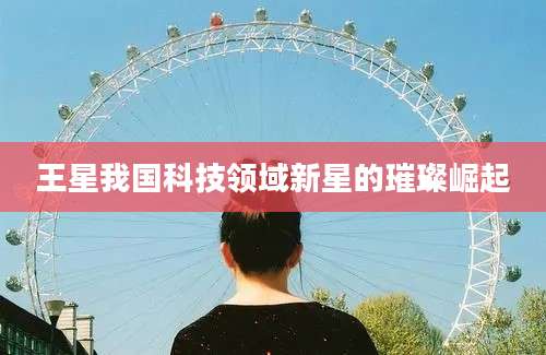 王星我国科技领域新星的璀璨崛起