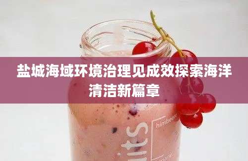 盐城海域环境治理见成效探索海洋清洁新篇章
