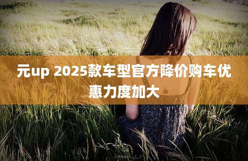 元up 2025款车型官方降价购车优惠力度加大
