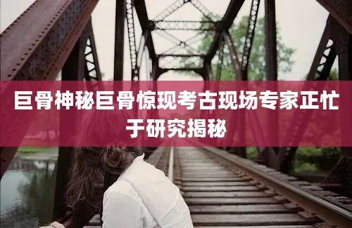 巨骨神秘巨骨惊现考古现场专家正忙于研究揭秘