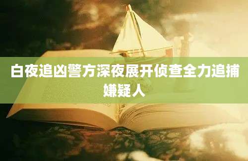 白夜追凶警方深夜展开侦查全力追捕嫌疑人