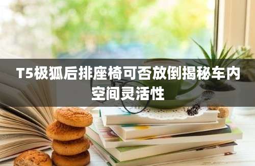 T5极狐后排座椅可否放倒揭秘车内空间灵活性
