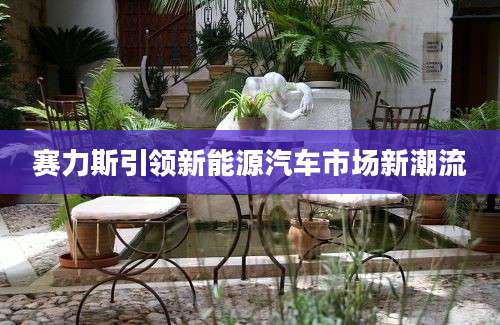 赛力斯引领新能源汽车市场新潮流
