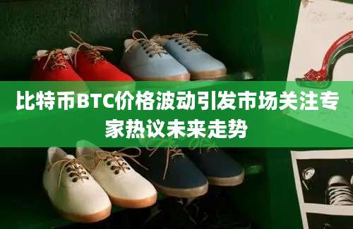 比特币BTC价格波动引发市场关注专家热议未来走势