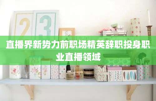 直播界新势力前职场精英辞职投身职业直播领域