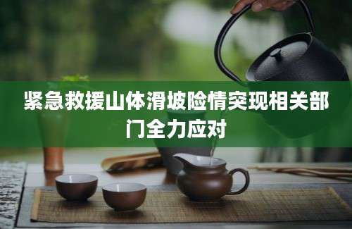 紧急救援山体滑坡险情突现相关部门全力应对