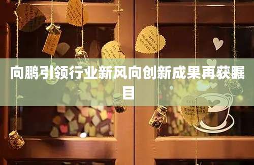 向鹏引领行业新风向创新成果再获瞩目