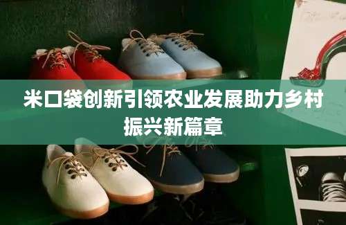 米口袋创新引领农业发展助力乡村振兴新篇章