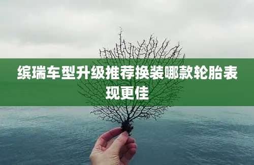 缤瑞车型升级推荐换装哪款轮胎表现更佳
