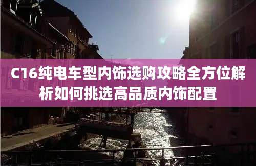 C16纯电车型内饰选购攻略全方位解析如何挑选高品质内饰配置