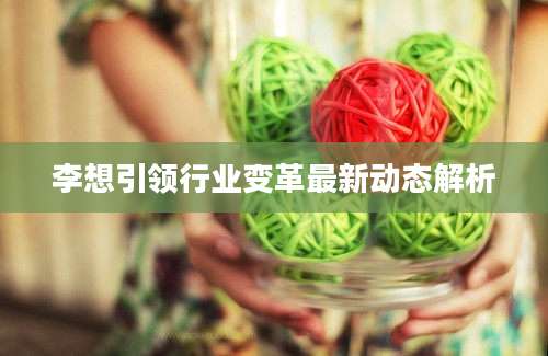 李想引领行业变革最新动态解析